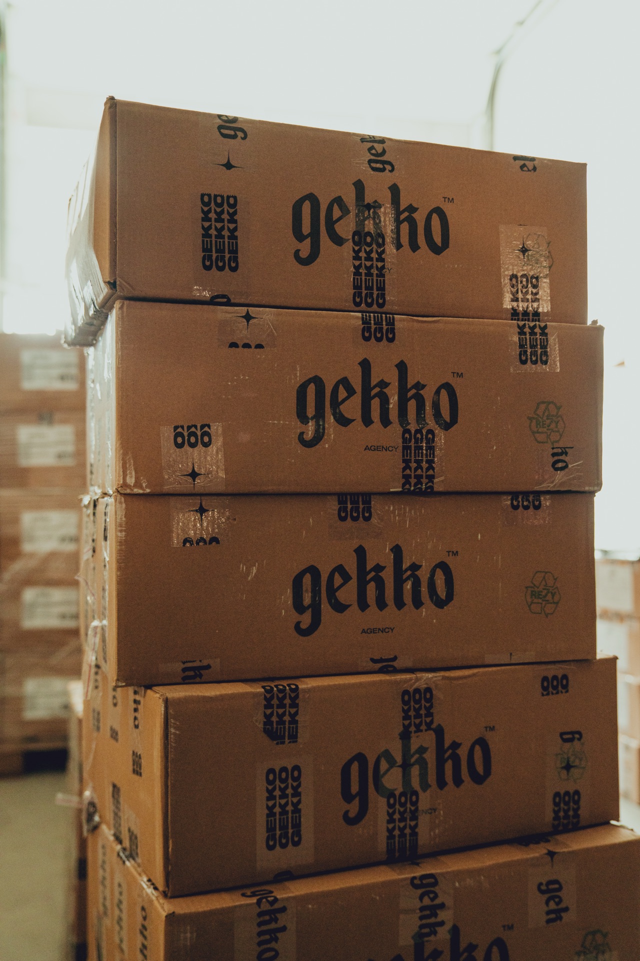 GEKKO shipping boxes ready for global fulfillment